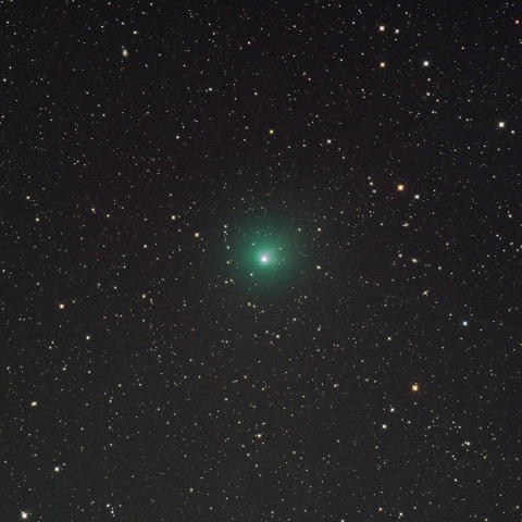 テンペル第2彗星 (10P) 2026/08/19