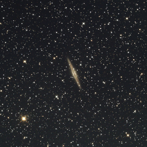 NGC891銀河 2026/10/06