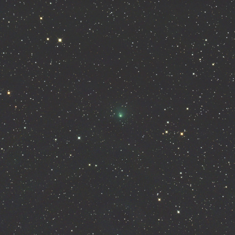 テンペル第2彗星 (10P) 2026/10/14