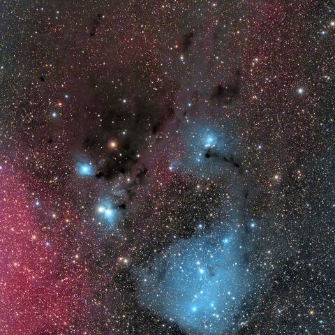 IC2169 かたつむり星雲 (いっかくじゅう座 散光星雲)