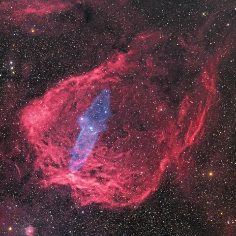 ケフェウス座の「Sh2-129 フライングバット星雲」と「Ou4 ダイオウイカ星雲」