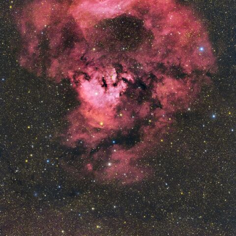 NGC7822 クウェスチョンマーク星雲 (ケフェウス座)