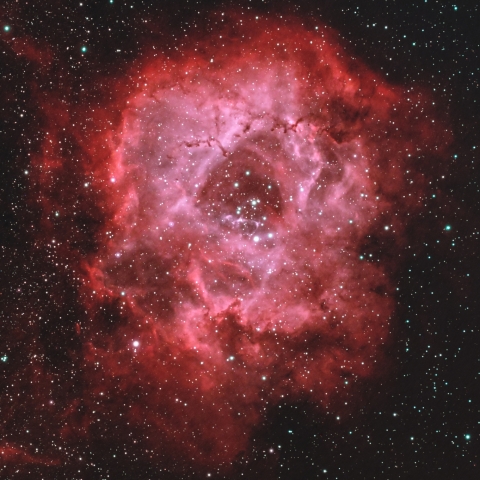 NGC2237「バラ星雲」と NGC2244 散開星団