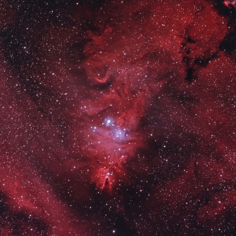 NGC2264「クリスマスツリー星団」「コーン星雲」