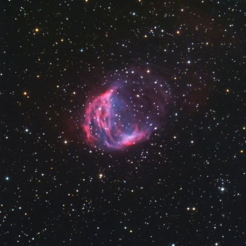 Sh2-274 メドゥーサ星雲（ふたご座 惑星状星雲）