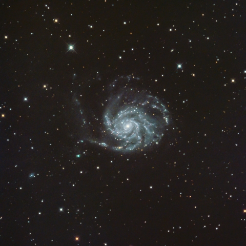 M101 回転花火銀河（おおぐま座 渦巻銀河）