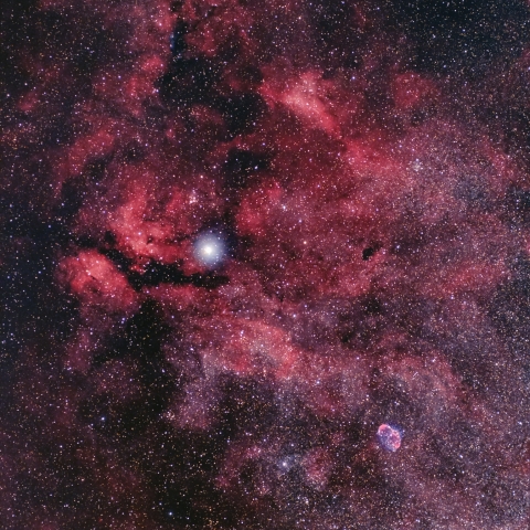 はくちょう座「サドル」付近