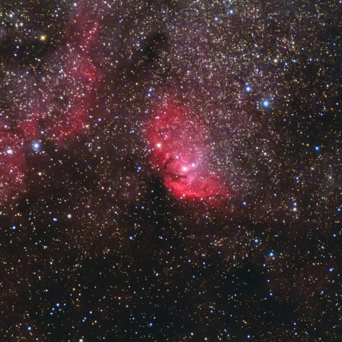 Sh2-101 チューリップ星雲（はくちょう座 散光星雲）