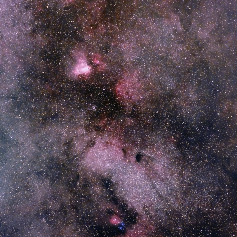 「バンビの横顔」付近