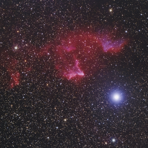 IC59, IC63 ケフェウス座 散光星雲