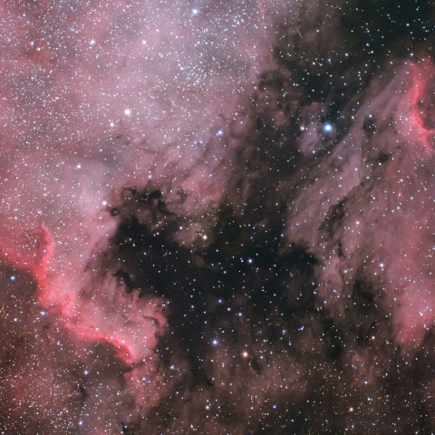 NGC7000「北アメリカ星雲」と IC5070「ペリカン星雲」