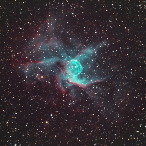 NGC2359 トールのかぶと星雲（おおいぬ座 散光星雲）