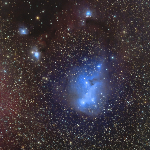 IC2169 かたつむり星雲（いっかくじゅう座 散光星雲）