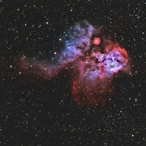 NGC2467 マンドリル星雲（とも座 散光星雲）