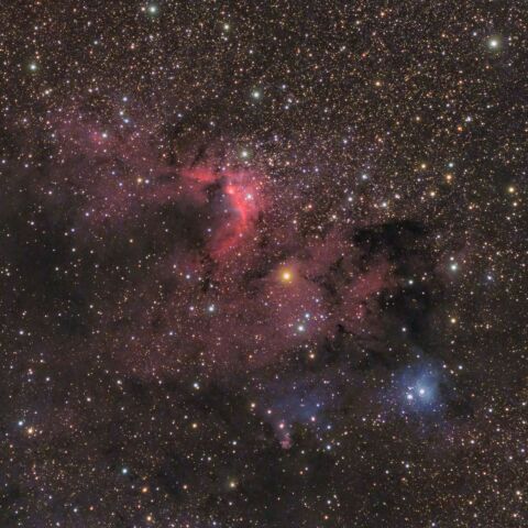 「Sh2-155 洞窟星雲」（ケフェウス座）付近