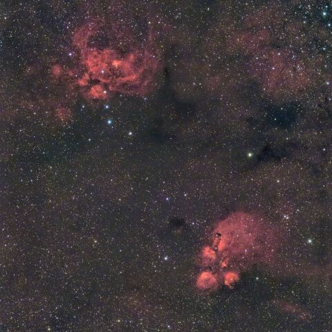 さそり座の「NGC6357 彼岸花星雲」(上)と「NGC6334 出目金星雲」(下)