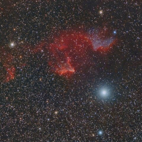 IC59, IC63 ケフェウス座 散光星雲
