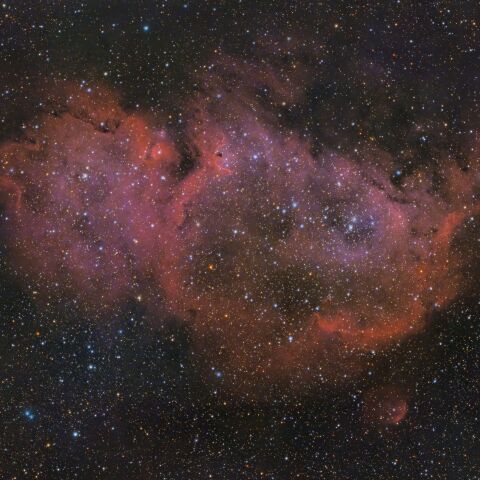 IC1848 ソウル星雲（カシオペア座 散光星雲）