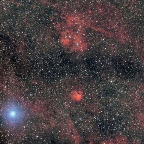 はくちょう座「デネブ」付近の散光星雲 Sh2-112,Sh2-115 など