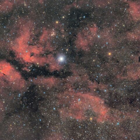 IC1318 サドル付近の散光星雲