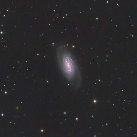NGC2903 しし座 棒渦巻銀河
