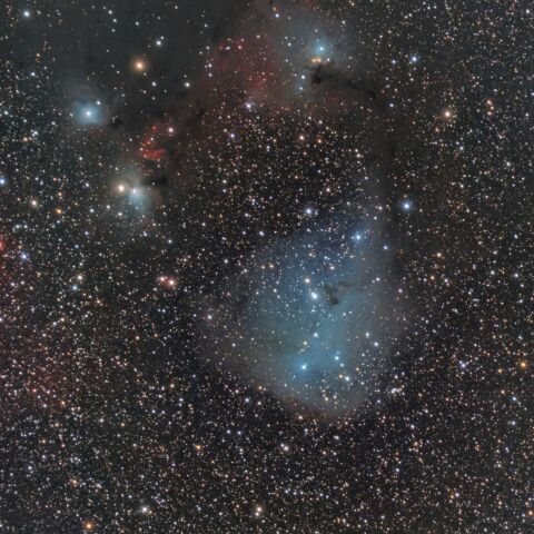 IC2169 かたつむり星雲（いっかくじゅう座 散光星雲）