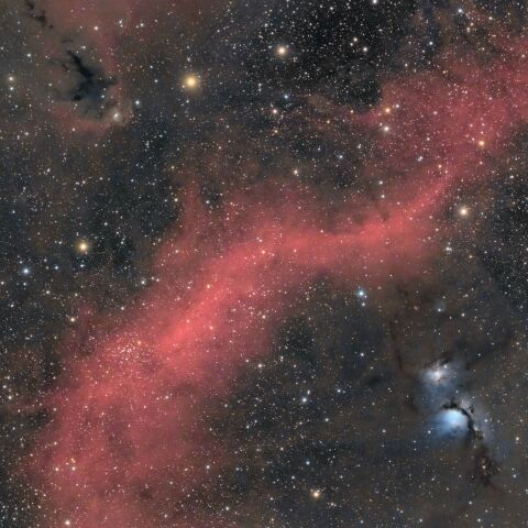 オリオン座 「M78星雲」「LDN1622 いるか星雲」 付近