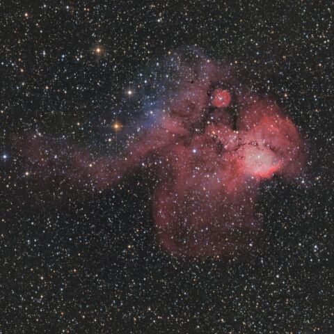 NGC2467 マンドリル星雲（とも座 散光星雲）