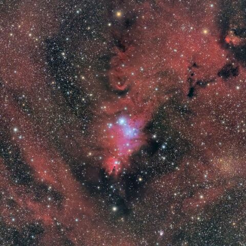 NGC2264「クリスマスツリー星団」と「コーン星雲」（いっかくじゅう座）