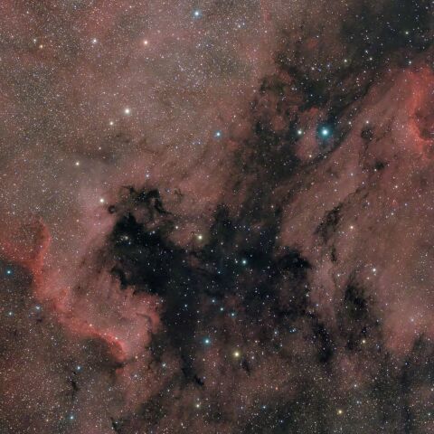 「NGC7000 北アメリカ星雲」と「IC5067 ペリカン星雲」（はくちょう座）