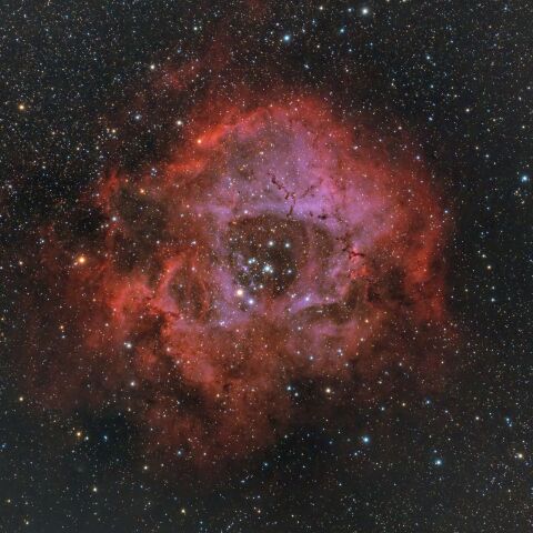 NGC2237 ばら星雲（いっかくじゅう座 散光星雲）