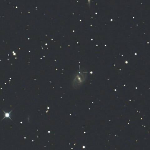 超新星2024aeee NGC2523