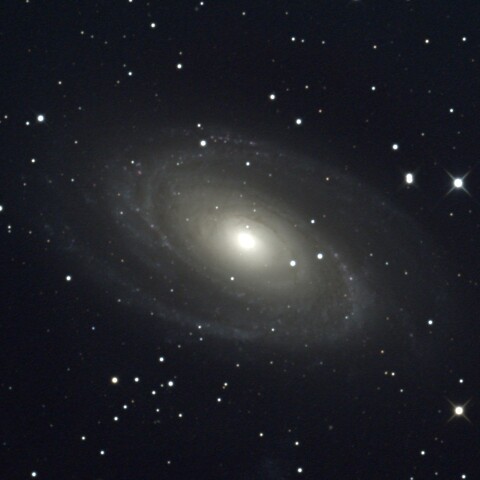 M81