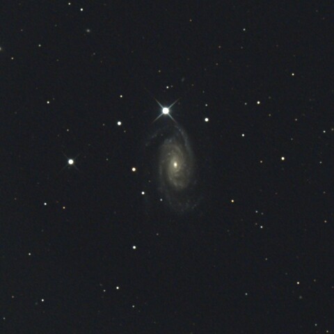 NGC3338