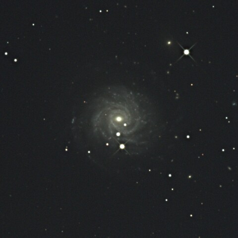NGC3344