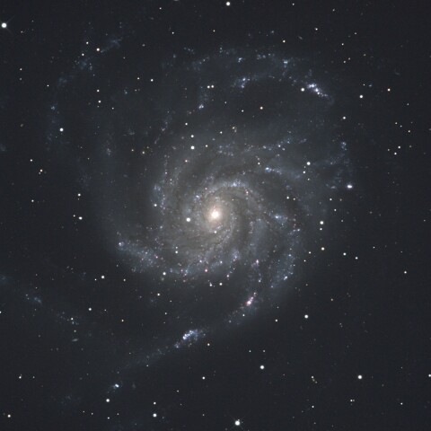 M101