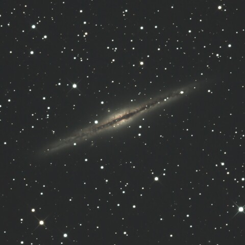 NGC891