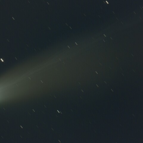 レモン彗星C/2025A6