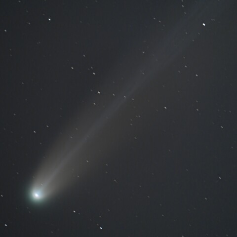 レモン彗星C/2025A6