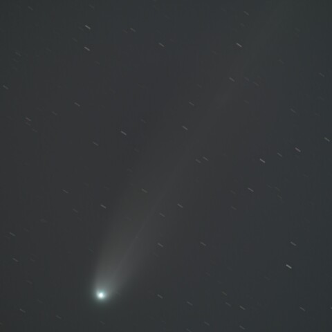 レモン彗星C/2025A6