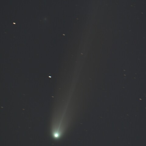 レモン彗星C/2025A6