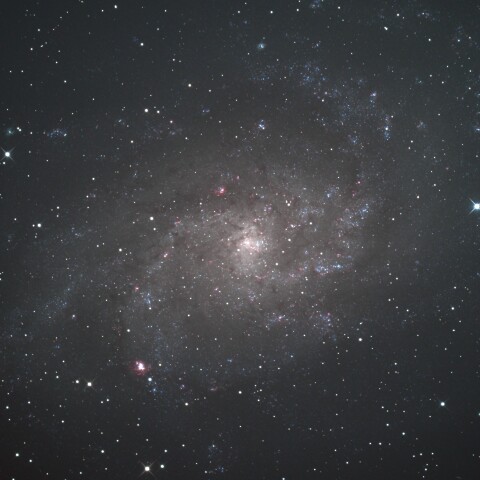 M33