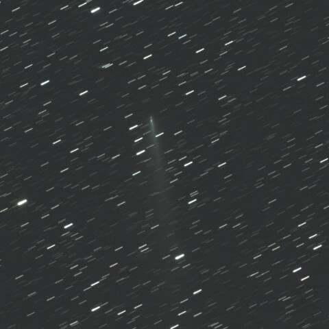 C/2025K1と分裂核