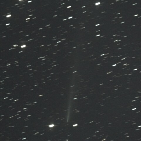 C/2025K1と分裂核