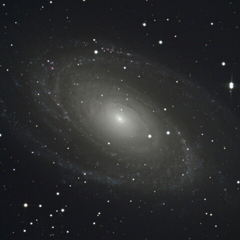 M81