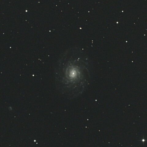 NGC3486