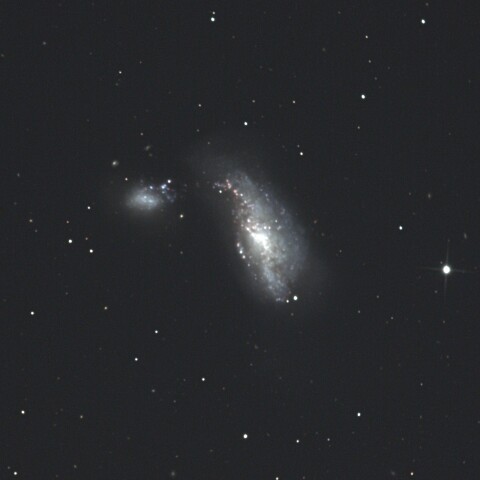 NGC4490