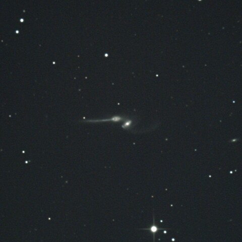 Arp242