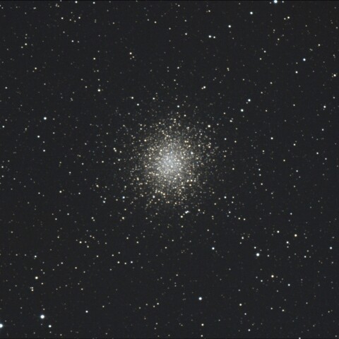 M14