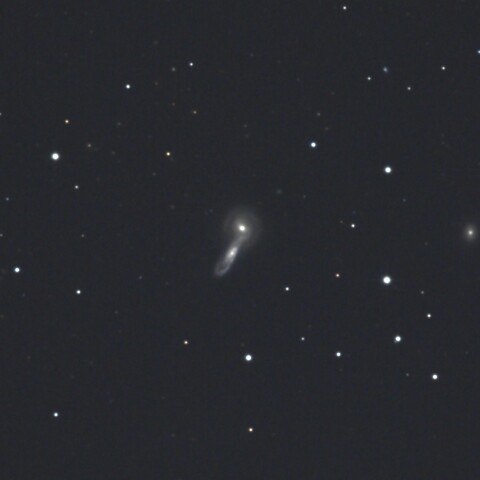 Arp199